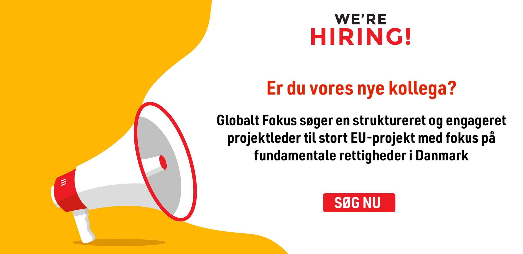 Globalt Fokus søger en struktureret og engageret projektleder til nyt stort projekt om fundamentale rettigheder i Danmark  